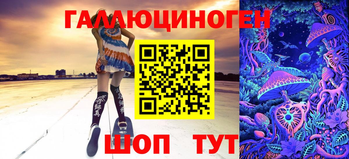 Волгодонск  Псилоцибиновые грибы Psilocybe  Вход с VPN 